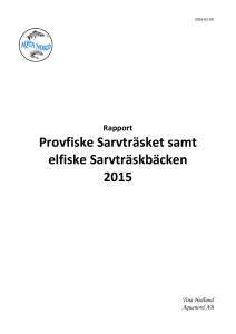 Provfiske Sarvträsket samt elfiske Sarvträskbäcken 2015