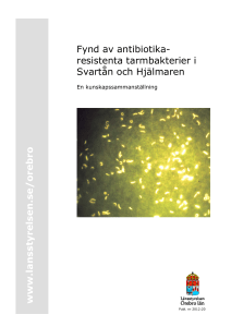 2012:20 Fynd av antibiotikaresistenta tarmbakterier i Svartån och