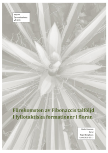 Förekomsten av Fibonaccis talföljd i fyllotaktiska formationer i floran