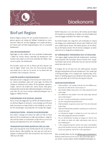 2017 Bakgrund Bioekonomi och BioFuel Region