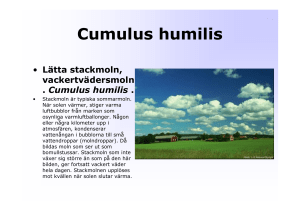Cumulus humilis
