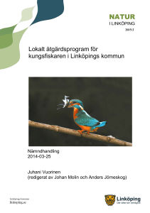 Lokalt åtgärdsprogram för kungsfiskaren i Linköpings