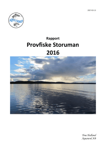 Provfiske Storuman 2016