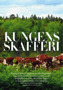 Kungens skafferi, Kulturvärden nr.3, 2010 (PDF
