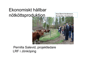 Nötköttsproduktion och ekonomi – Pernilla Salevid