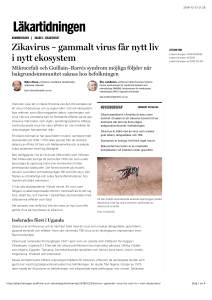 Zikavirus – gammalt virus får nytt liv i nytt