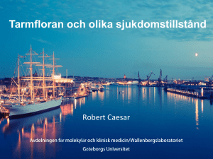 Robert Caesar UTF kongress Malmö 2017