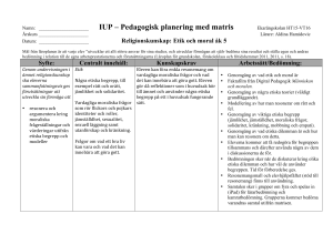 IUP – Pedagogisk planering med matris