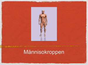 Männisokroppen - WordPress.com