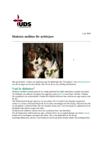 Diabetes hos hund - Universitetsdjursjukhuset