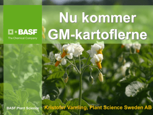 BASF Plant Science