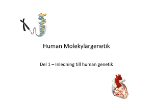 Human Molekylärgenetik