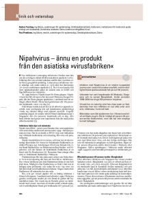 Nipahvirus – ännu en produkt från den asiatiska »virusfabriken«