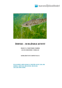 överfiske – en miljöfarlig aktivitet