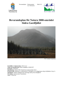 Bevarandeplan för Natura 2000-området Södra