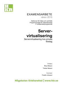 Server- virtualisering