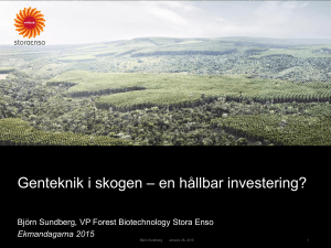 Genteknik i skogen – en hållbar investering?