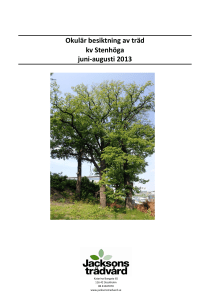 Okulär besiktning av träd kv Stenhöga juni