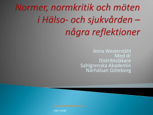 Anna Westerståhl, Normer, normkritik och möten