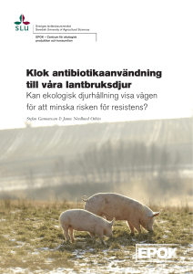 Klok antibiotikaanvändning till våra lantbruksdjur