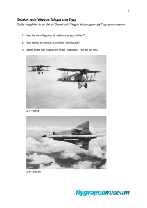 Drakel och Viggos frågor om flyg
