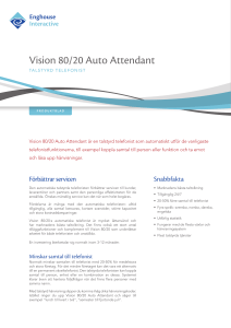 Vision 80/20 Auto Attendant