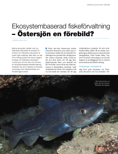Ekosystembaserad fiskeförvaltning – östersjön en förebild?