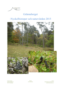 Grännaberget, nyckelbiotoper och naturvärden 2015