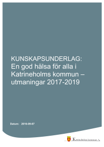 En god hälsa för alla i Katrineholms kommun – utmaningar 2017-2019