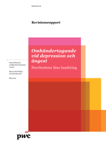 Revisionsrapport Omhändertagande vid depression och ångest