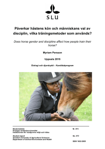 Påverkar hästens kön och människans val av disciplin, vilka