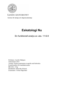 examensarbete - Lund University Publications