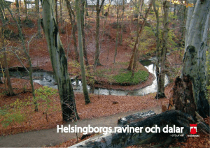 Broschyr Helsingborgs raviner och dalar