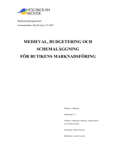 medieval, budgetering och schemaläggning för