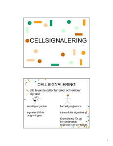 CELLSIGNALERING