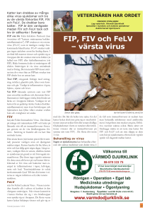 FIP, FIV och FeLV – värsta virus