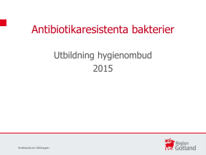 11. MRB - antibiotikaresistenta bakterier