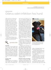 Oslerus osleri-infektion hos hund