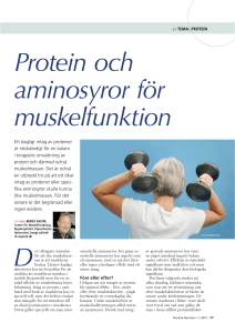 Protein och aminosyror för muskelfunktion
