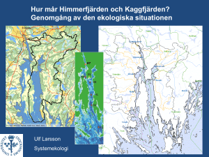Den ekologiska situationen i Himmerfjärden och Kaggfjärden