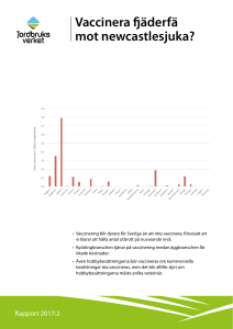 Vaccinera fjäderfä mot newcastlesjuka?