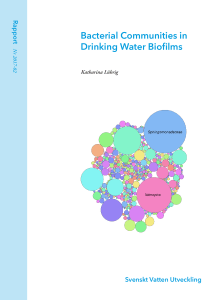 Svenskt Vatten Utveckling Bacterial Communities in Drinking Water