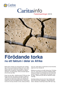 Förödande torka - Caritas Sverige
