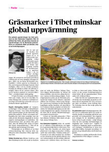 Gräsmarker i Tibet minskar global uppvärmning