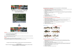 Information för Sportfiske i Kalix älv inom Kalix kommun