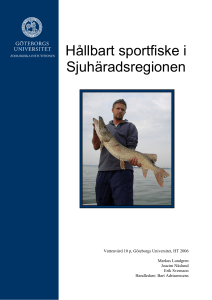 Hållbart sportfiske i Sjuhäradsregionen - Marknadsplats 7