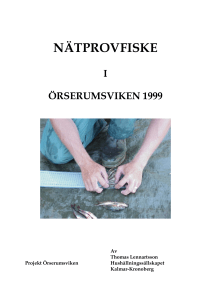 nätprovfiske i örserumsviken 1999