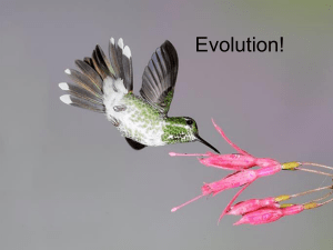 Evolution! - WordPress.com