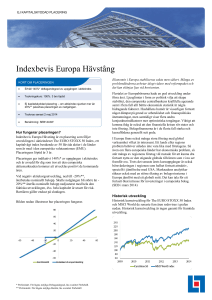 Indexbevis Europa Hävstång