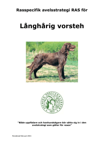 Långhårig vorsteh - Svenska Kennelklubben